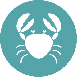 Crustaceans