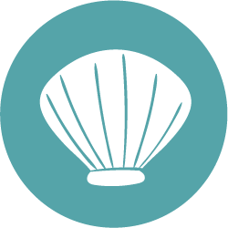 Molluscs