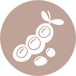 Soya