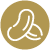 Brazil Nut